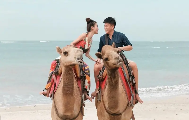 camel1