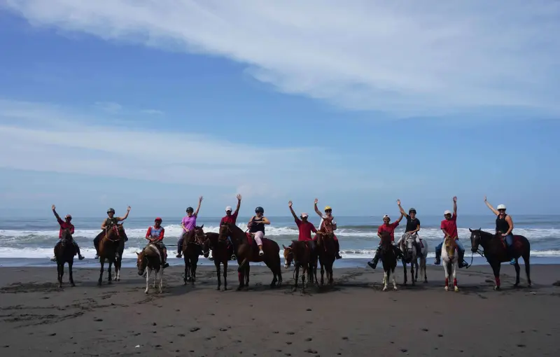 horse